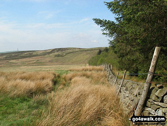 High Moor with Croker Hill (mast, far left) from the edge of Macclesfield Forest 