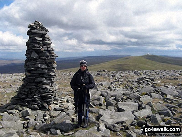 Walk c293 Cross Fell and Great Dun Fell from Garrigill - Lesley at Little Dun Fell between Dun Fell and Cross Fell on the Pennine Way.