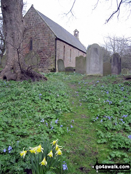 Walk n181 Dod Law from Doddington Bridge - Doddington Church in the spring