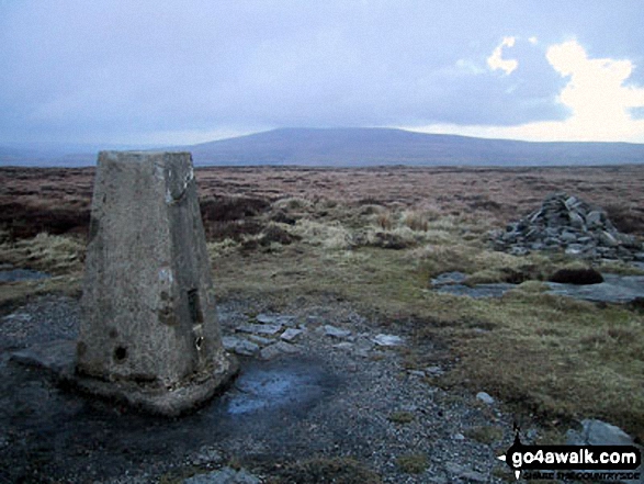 Walk ny153 Sugar Loaf (Horse Head Moor) and Firth Fell from Buckden - Buckden Pike from Firth Fell summit trig point