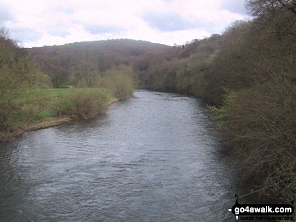 Walk gl130 The Suck Stone from Symonds Yat - The River Wye