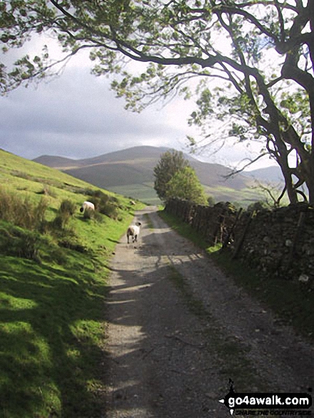 Walk c461 Great Sca Fell and Knott from Over Water - Skiddaw from Orthwaite