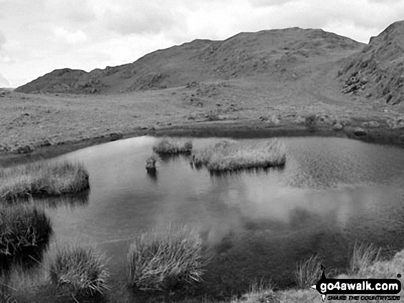 Small Tarn between Great Stickle (Dunnerdale Fells) and Stickle Pike (Dunnerdale Fells) 