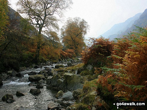 Walk c115 Langstrath Beck from Rosthwaite - Langstrath Beck