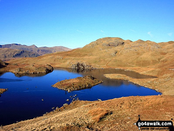 Walk c159 The Nab and Rest Dodd from Christy Bridge - Angle Tarn