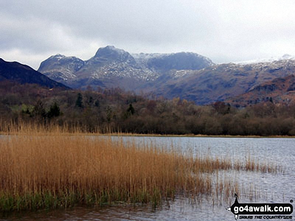 Walk c274 Loughrigg Fell from Elterwater - The Langdale Pikes from Elter Water