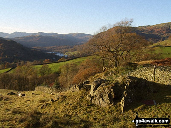 Walk c389 Great Rigg, Fairfield and Hart Crag from Ambleside - Rydal Water with Langdale Pikes beyond from High Sweden Coppice