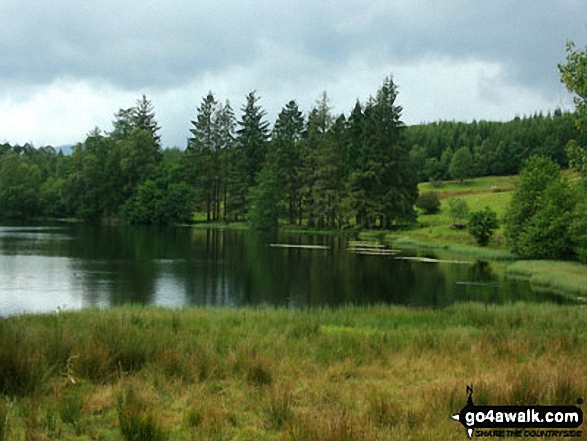 Moss Eccles Tarn 