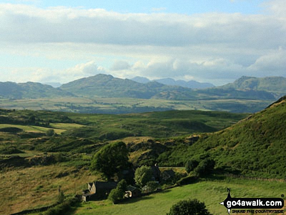 Burney (Great Burney) Photo by Andy Malcolm