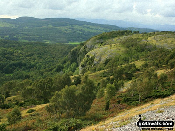 Chapel Head Scar from Whitbarrow Scar 