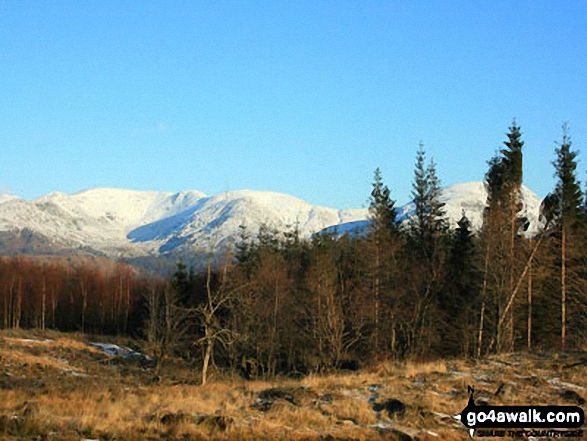 Latterbarrow Photo by Andy Malcolm