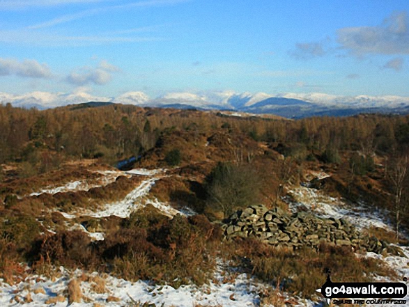 Walk Finsthwaite Heights walking UK Mountains in The Southern Marches The Lake District National Park Cumbria, England