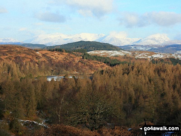 Looking down on High Dam from Finsthwaite Heights