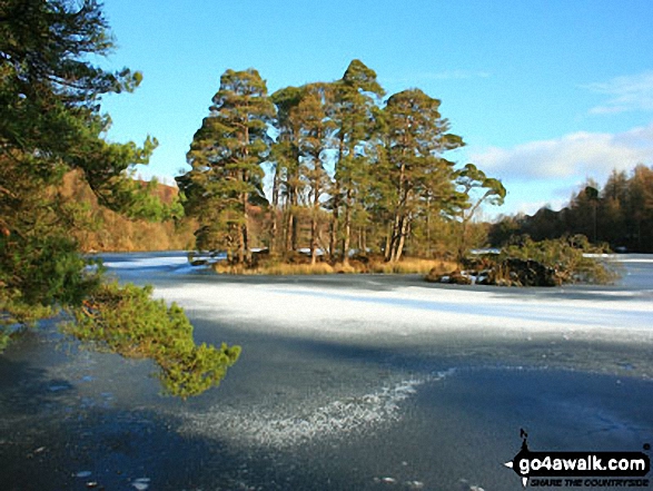 High Dam below Finsthwaite Heights 