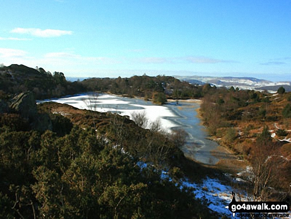 Boretree Tarn on Finsthwaite Heights