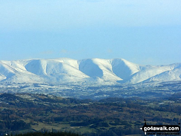 Walk c148 The Silurian Way in the Grizedale Forest - The Howgills from Carron Crag