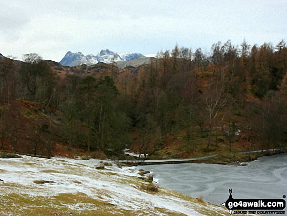 Walk c121 Tarn Hows and Yew Tree Tarn from Tom Gill - The Langdale Pikes from a frozen Tarn Hows