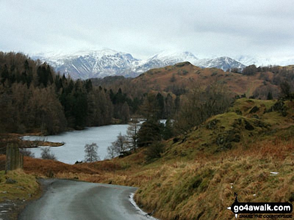 Walk c121 Tarn Hows and Yew Tree Tarn from Tom Gill - Dollywagon and Fairfield from Tarn Hows