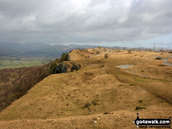 Walk c171 Scout Scar from UnderBarrow - On Scout Scar (Barrowfield)