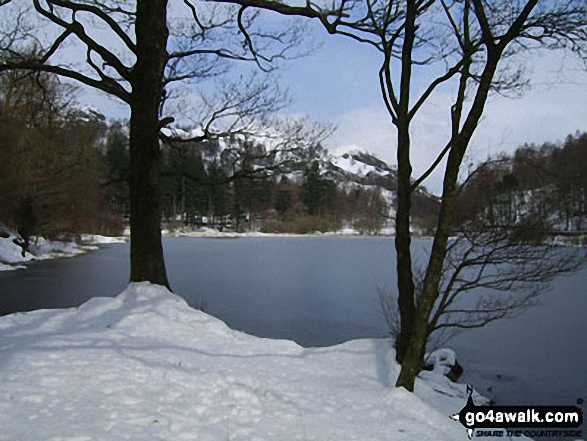 Holme Fell from Yew Tree Tarn near Tarn Hows 