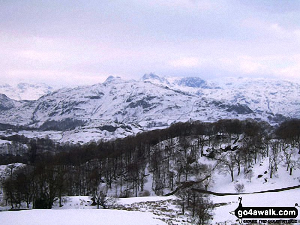 Walk c121 Tarn Hows and Yew Tree Tarn from Tom Gill - Lingmore Fell and the Langdale Pikes from Iron Keld near Tarn Hows