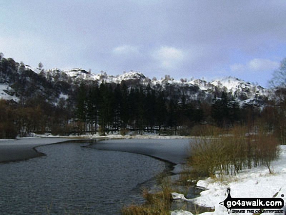 Walk c121 Tarn Hows and Yew Tree Tarn from Tom Gill - Partially frozen Yew Tree Tarn near Tarn Hows