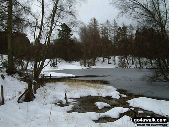 Walk c121 Tarn Hows and Yew Tree Tarn from Tom Gill - Tarn Hows in the snow