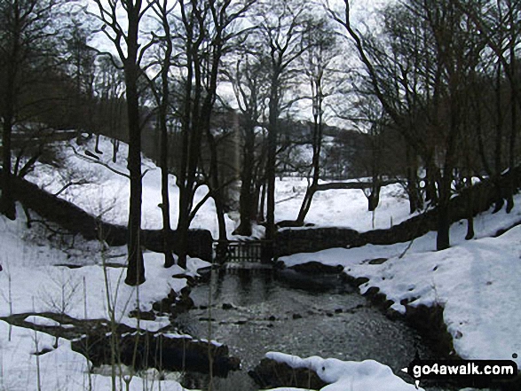 Walk c121 Tarn Hows and Yew Tree Tarn from Tom Gill - The run off at the southern end of Yew Tree Tarn near Tarn Hows