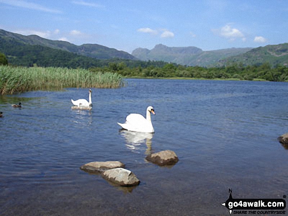 Walk c165 Little Langdale from Elterwater - Elter Water and The Langdale Pikes