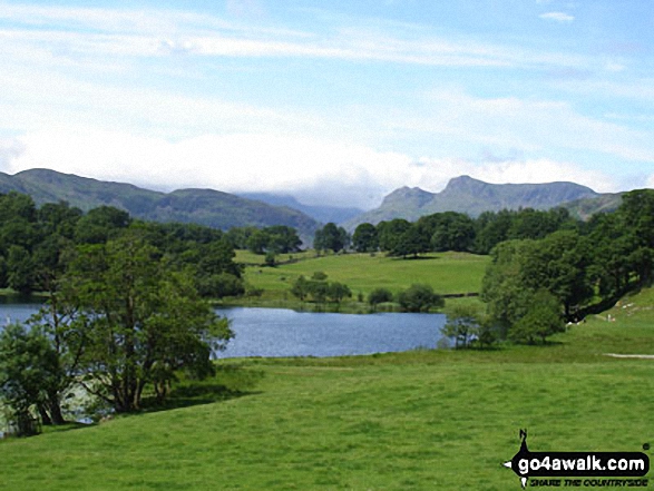 Walk c274 Loughrigg Fell from Elterwater - Loughrigg Tarn and the Langdale Pikes from below Ivy Crag