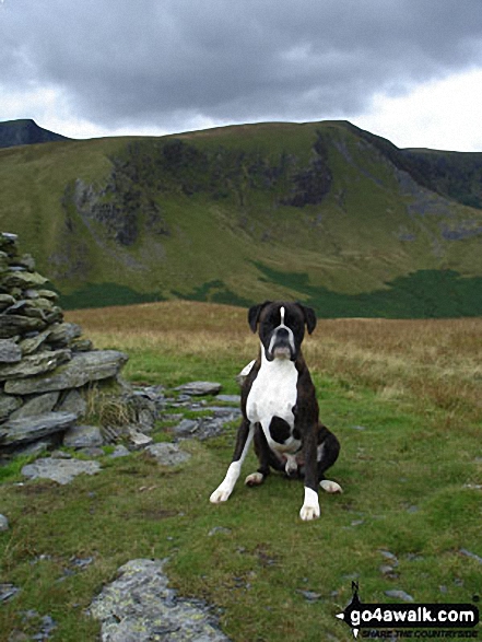 Walk c245 Blencathra from Mungrisdale - Bruce on Souther Fell Summit