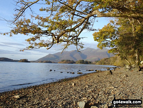 Walk c120 The Ennerdale Horseshoe - Crummock Water, Rannerdale Knotts and Robinson beyond from Black Beck