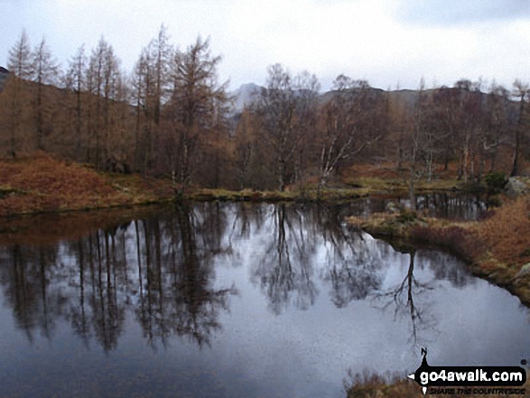 Walk c121 Tarn Hows and Yew Tree Tarn from Tom Gill - Reflections in Yew Tree Tarn below Holme Fell