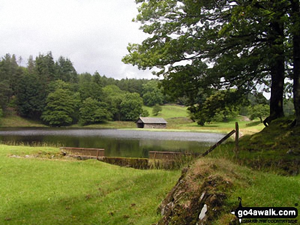 Sow How Tarn near Gummer's How 