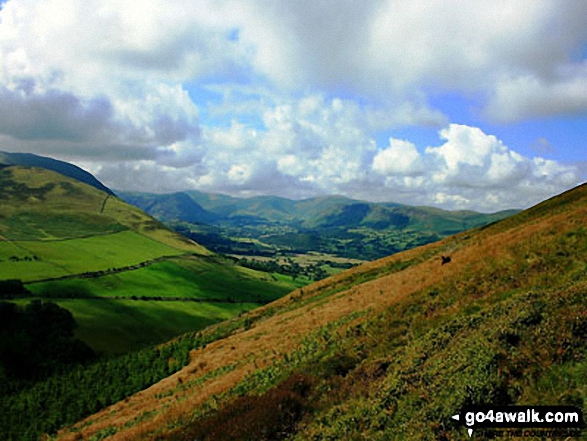 Vale of Lorton viewed from the lower southern slopes of Graystones above Darling How Plantation