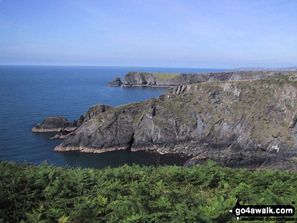 Walk pe119 Pen Dal-aderyn from Porthstinian - The Pembrokeshire Coast Path