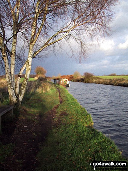 Walk ch102 Dunham Massey and The Bridgewater Canal from Lymm - The Bridgewater Canal nr Dunham Town