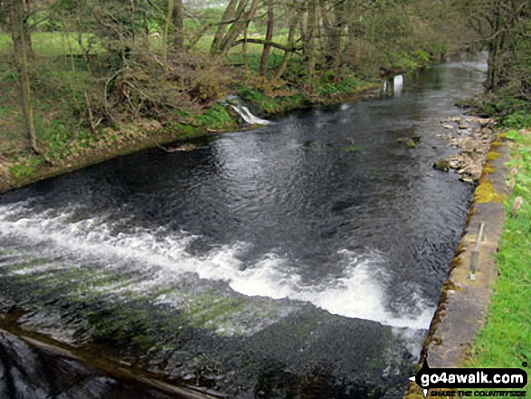 Walk s187 Blore and Coldwall Bridge from Ilam - Weir on The Lower River Dove near Coldwall Bridge, Thorpe, Dove Dale