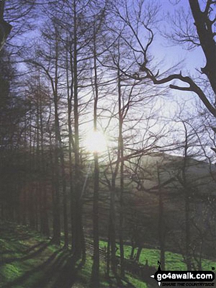 Walk gw193 Foel Fras from Bont Newydd - Woodland near Aber Falls