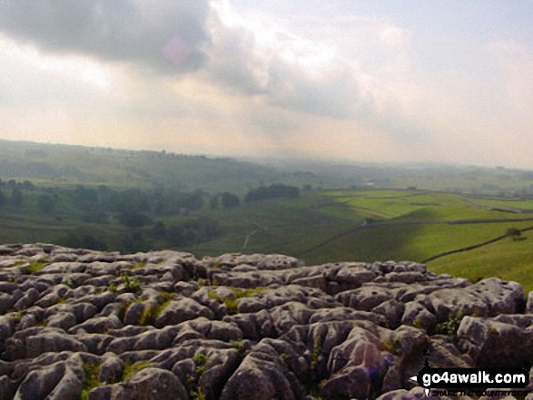 Walk ny159 Gordale Scar and Malham Cove from Malham - Limestone Pavement at the top of Malham Cove