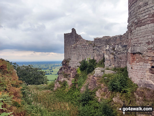 Walk ch213 The Sandstone Trail and Higher Burwardsley from Beeston - Beeston Castle moat