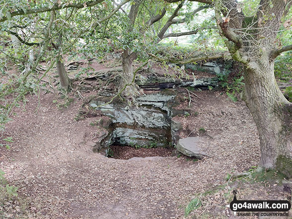 Walk ch142 The Sandstone Trail, Beeston Castle and Higher Burwardsley from Tarporley - Pit in Beeston Castle's Outer Bailey