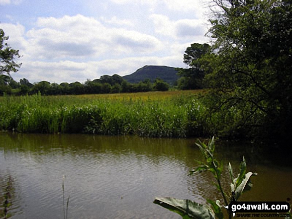 The Cloud (Bosley Cloud) from The Macclesfield Canal 