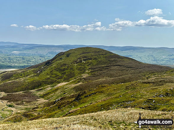 Moel Ymenyn Photo by Anthony Smith