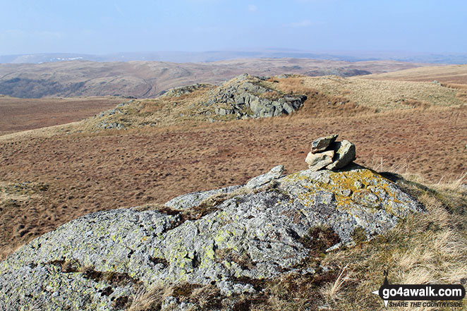 Rowantree Crag summit cairn 