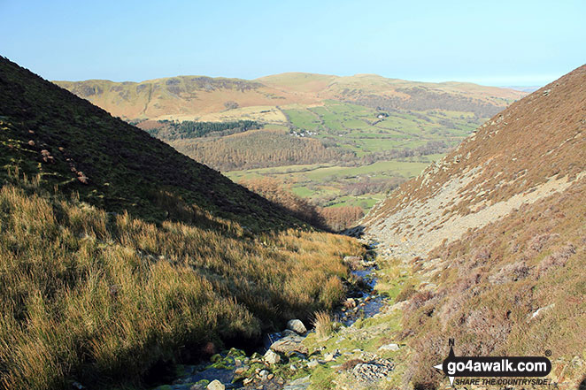 Climbing up Cold Gill heading for Dodd (Whiteside) 