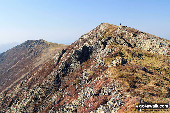 Whiteside (Crummock) (West Top) & Whiteside (Crummock) (both in the distance left) from the col between Whiteside (Crummock) and Hopegill Head The top in the foreground with the hiker on it is the unnamed 703m spot height along the ridge.