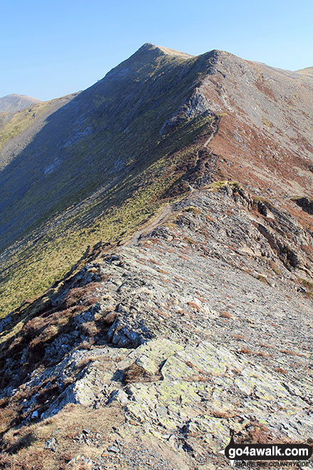 Hopegill Head from the col between Whiteside (Crummock) and Hopegill Head 