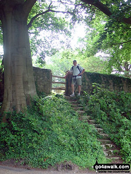 On The Greensand Way 