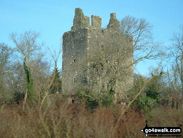 Cardoness Castle near Gatehouse of Fleet 